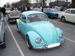 IMGP2441