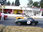 IMGP1603