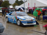 SS100096