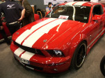IMGP2241