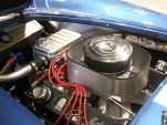 IMGP2255