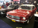 IMGP2260