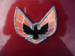 IMGP1945
