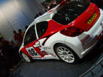 SS100308