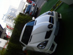 SS100431