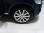 SS100565