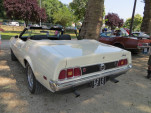 IMG 0522