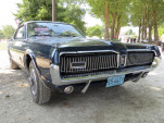IMG 0531
