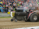 IMG 0066