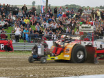 IMG 0073