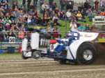 IMG 0080