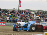 IMG 0081