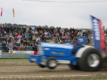 IMG 0098