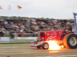 IMG 0099