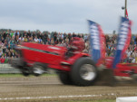 IMG 0105