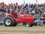 IMG 0108