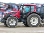 IMG 0122