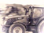 IMG 0125