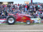 IMG 0143