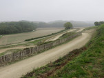IMG 1755