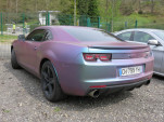 IMG 4882