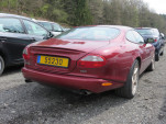 IMG 4883