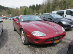 IMG 4884