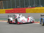 IMG 5291