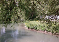 La Vesle