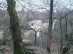 IMG 20131130 155518