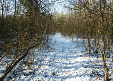 Mont de Berru