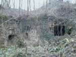 IMG 20140201 162817