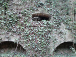 IMG 20140201 155741