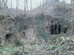 IMG 20140201 162822