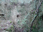 IMG 20140201 155836