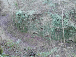IMG 20140201 155007