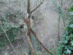 IMG 20140201 155019