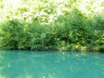 P1200533