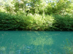 P1200517