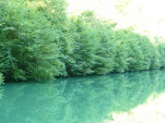 P1200523