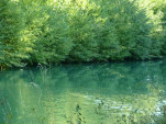 P1200528