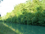 P1200520