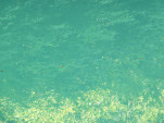 P1200524