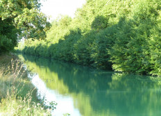 Canal