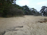 IMG 20131201 144959