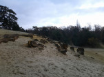 IMG 20131201 144952
