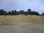 IMG 20131201 144448
