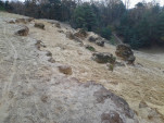 IMG 20131201 145332