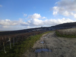 IMG 20140202 151026