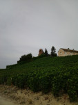 IMG 20130822 164853